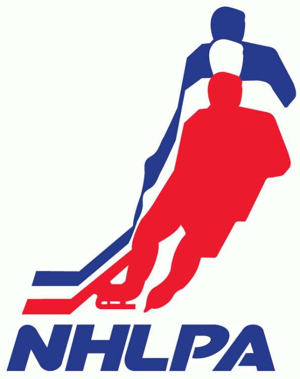 NHLPA 1971-2013 Primary Logo iron on heat transfer